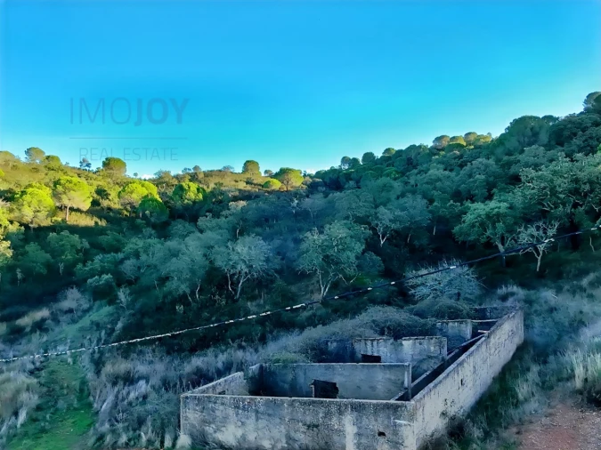 Quinta T1 para Venda em São Bartolomeu de Messines Foto 17