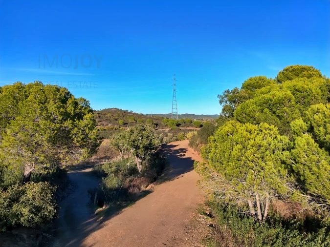 Quinta T1 para Venda em São Bartolomeu de Messines Foto 22