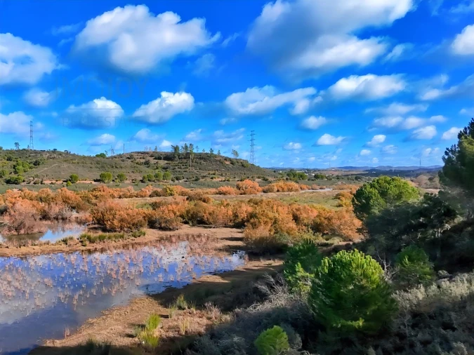 Quinta T1 para Venda em São Bartolomeu de Messines Foto 26