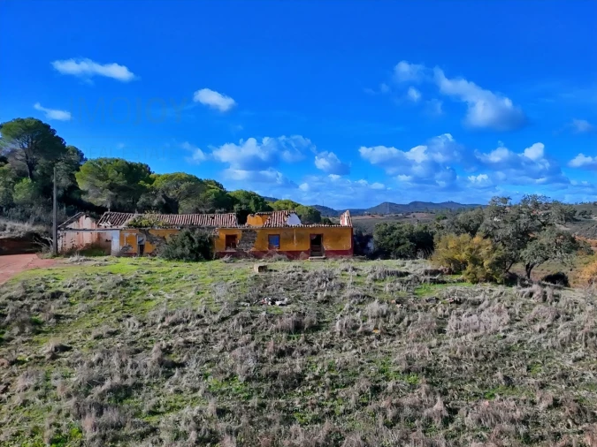 Quinta T1 para Venda em São Bartolomeu de Messines Foto 28