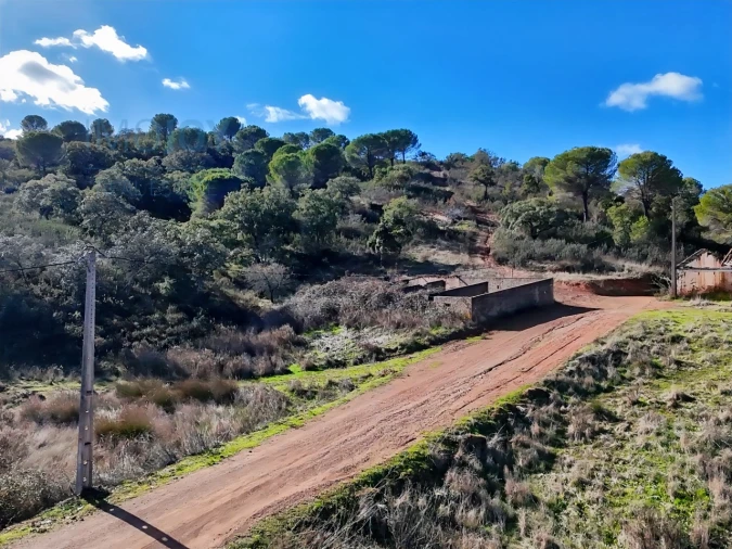Quinta T1 para Venda em São Bartolomeu de Messines Foto 33