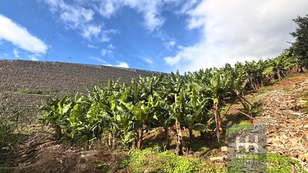 Terreno para Venda em Camara de Lobos Foto 7