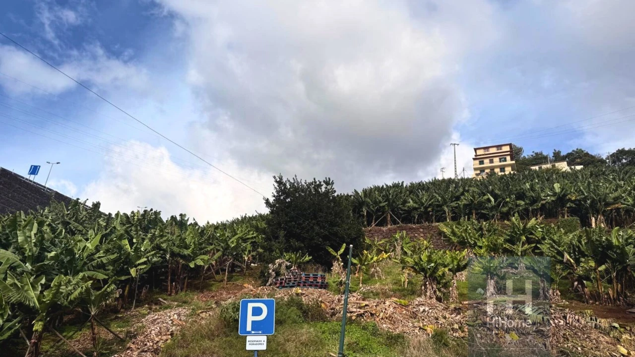 Terreno para Venda em Camara de Lobos Foto 10