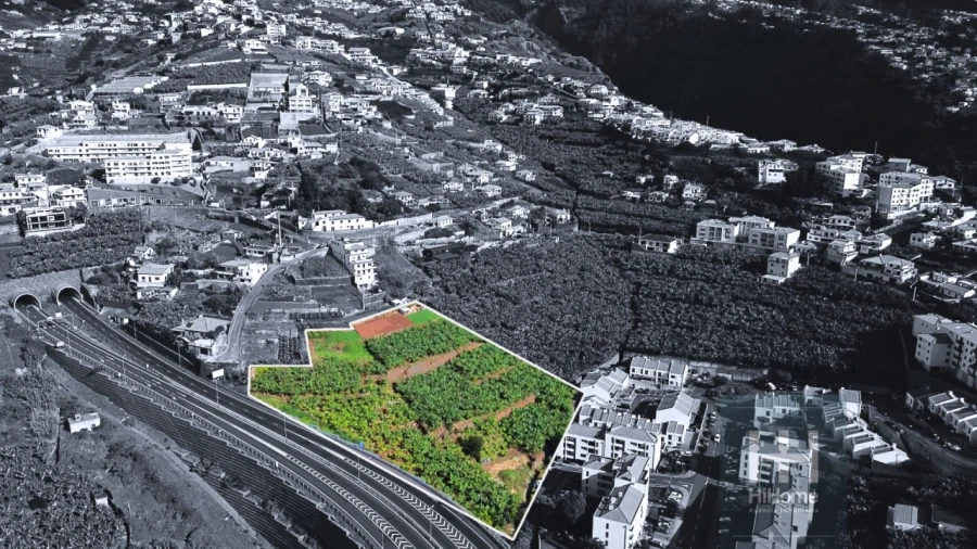 Terreno para Venda em Camara de Lobos Foto 2