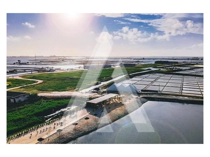 Apartamento T3 para Venda em Gafanha da Nazaré Foto 16