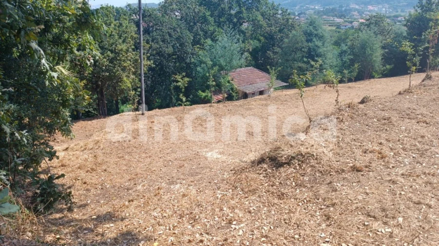 Apartamento T3 para Venda em Santo Tirso, Couto (Santa Cristina e São Miguel) e Burgães Foto 10