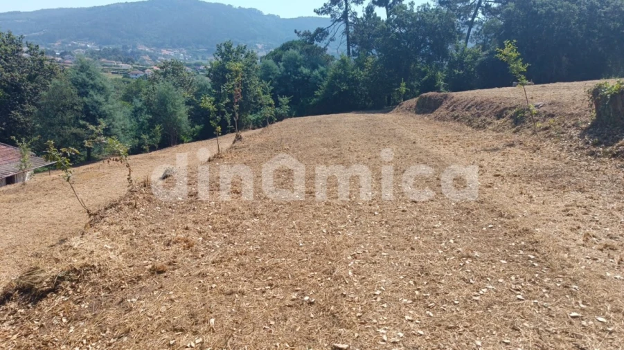 Apartamento T3 para Venda em Santo Tirso, Couto (Santa Cristina e São Miguel) e Burgães Foto 11