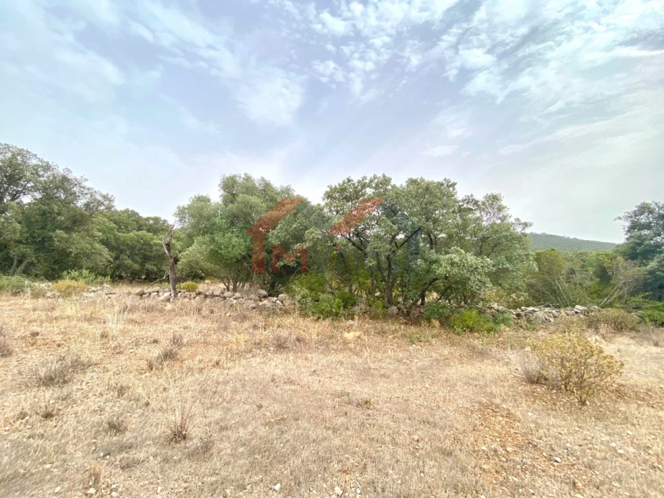 Terreno para Venda em Loule (São Clemente) Foto 4
