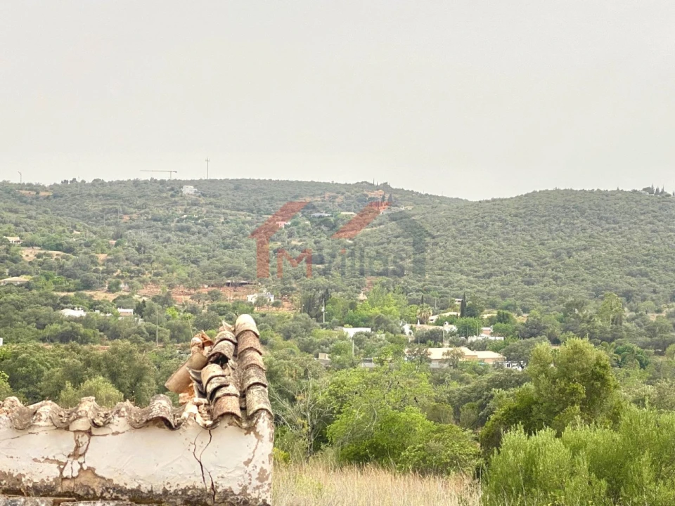 Terreno para Venda em Loule (São Clemente) Foto 2
