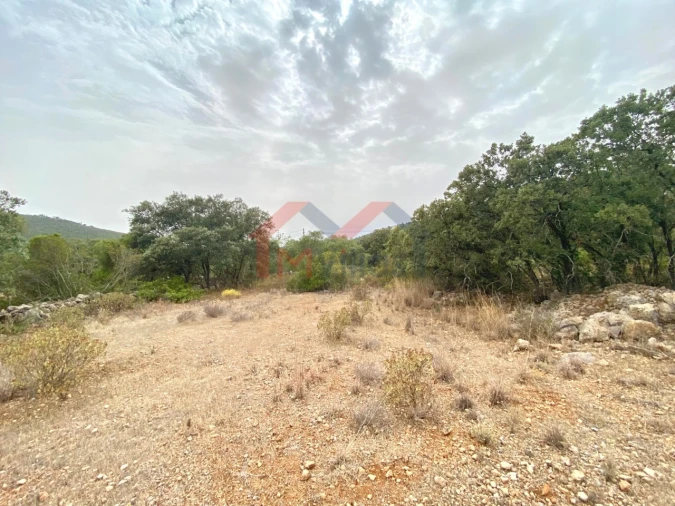 Terreno para Venda em Loule (São Clemente) Foto 5