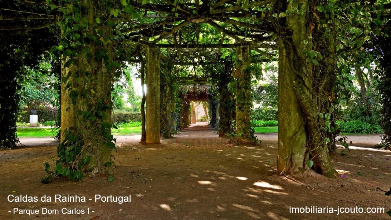 Apartamento T4 para Venda em Nossa Senhora do Pópulo, Coto e São Gregório Foto 33