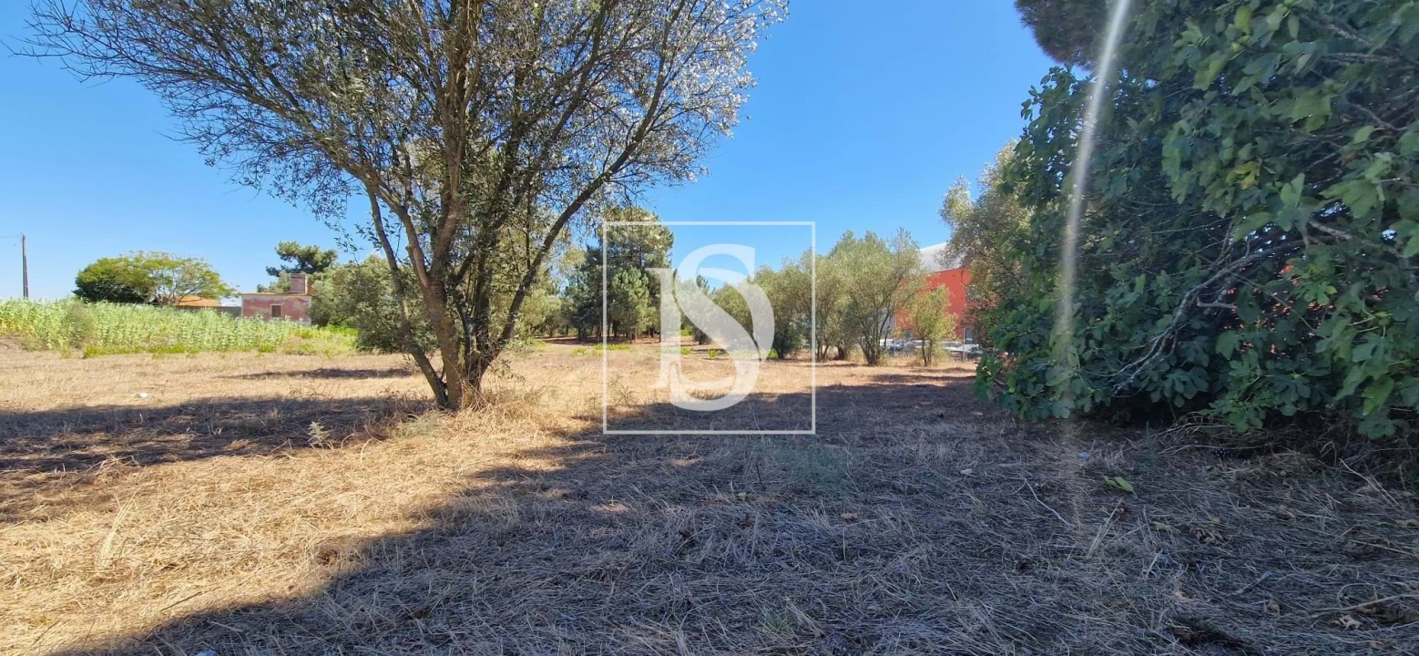 Terreno para Venda em Palmela Foto 4