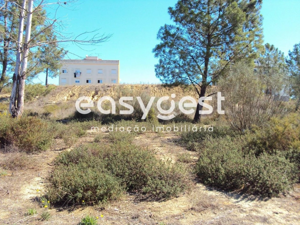 Terreno para Venda em Marvila, Ribeira Santarém, São Salvador, São Nicolau Foto 1