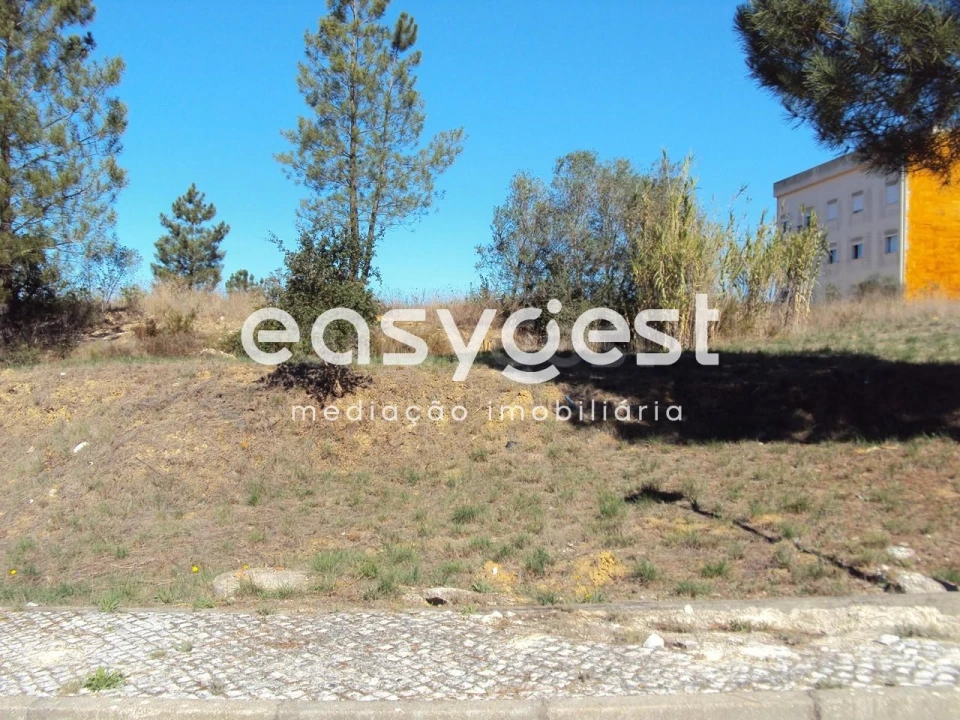 Terreno para Venda em Marvila, Ribeira Santarém, São Salvador, São Nicolau Foto 4