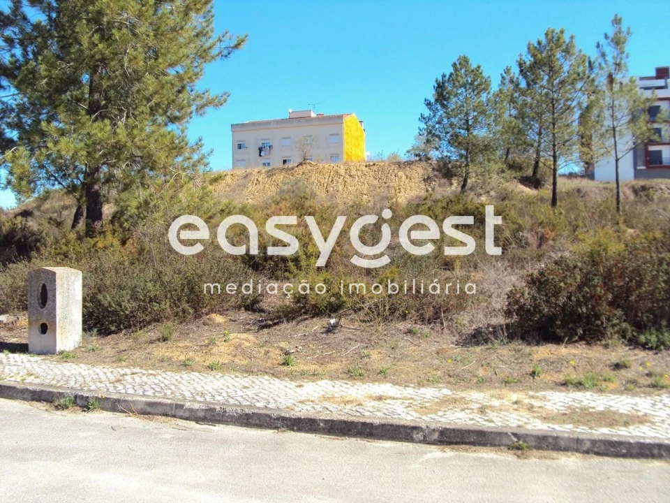 Terreno para Venda em Marvila, Ribeira Santarém, São Salvador, São Nicolau Foto 16