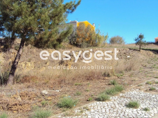 Terreno para Venda em Marvila, Ribeira Santarém, São Salvador, São Nicolau Foto 5