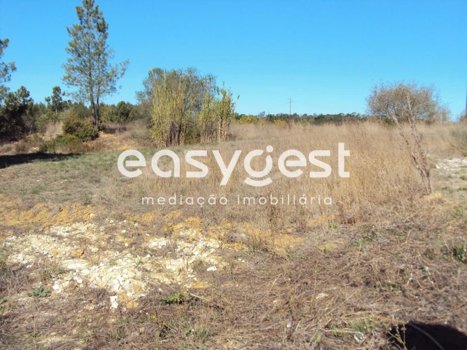 Terreno para Venda em Marvila, Ribeira Santarém, São Salvador, São Nicolau Foto 8