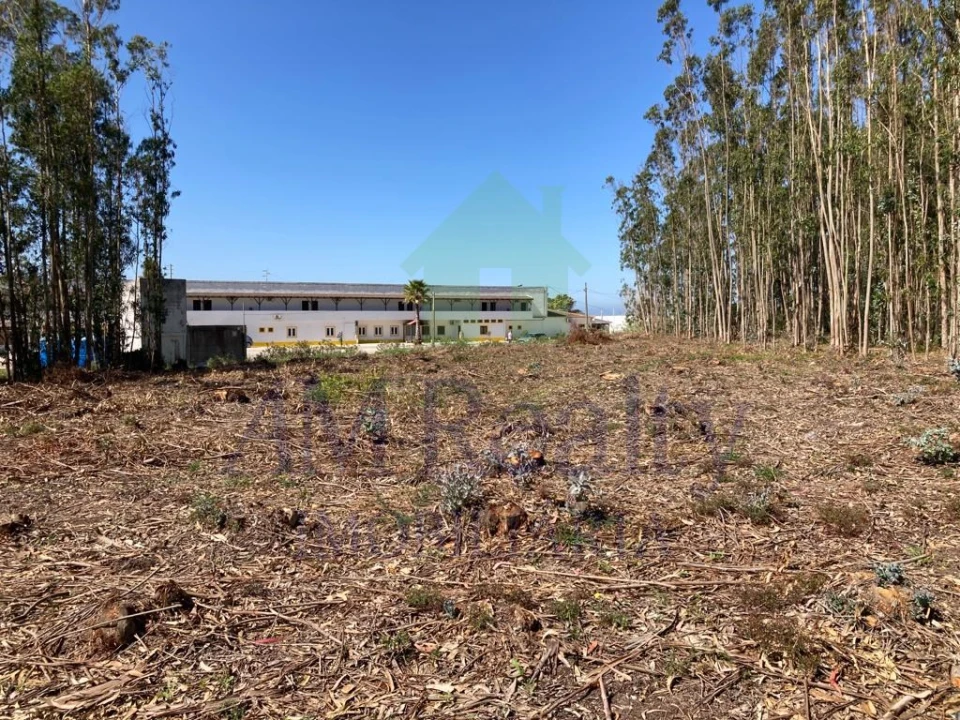 Terreno para Venda em Atouguia da Baleia Foto 6
