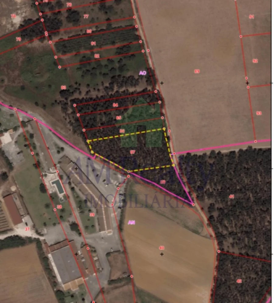 Terreno para Venda em Atouguia da Baleia Foto 5