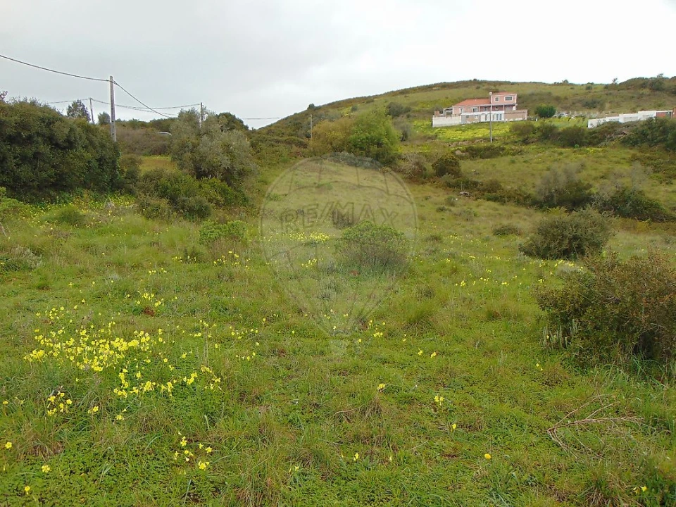 Terreno para Venda em Santo Quintino Foto 3