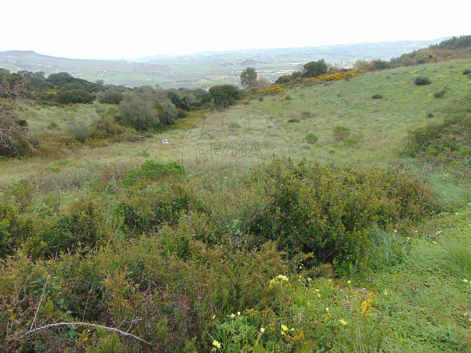 Terreno para Venda em Santo Quintino Foto 2
