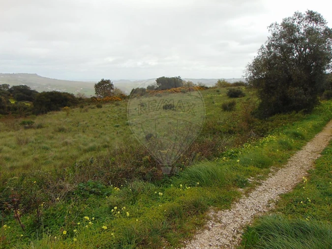 Terreno para Venda em Santo Quintino