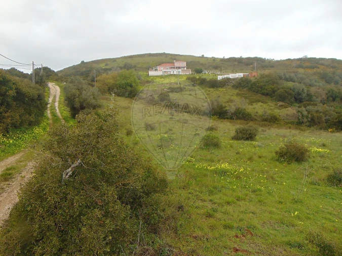 Terreno para Venda em Santo Quintino Foto 5