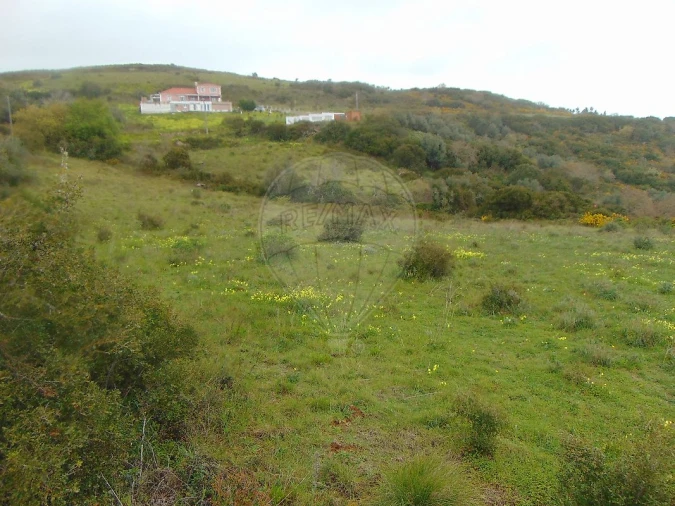 Terreno para Venda em Santo Quintino Foto 4