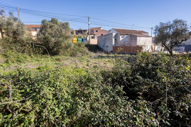 Terreno para Venda em Arranho Foto 3