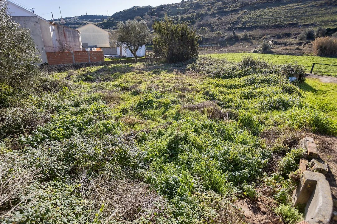 Terreno para Venda em Arranho Foto 2
