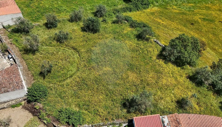 Terreno para Venda em Gavião e Atalaia Foto 1