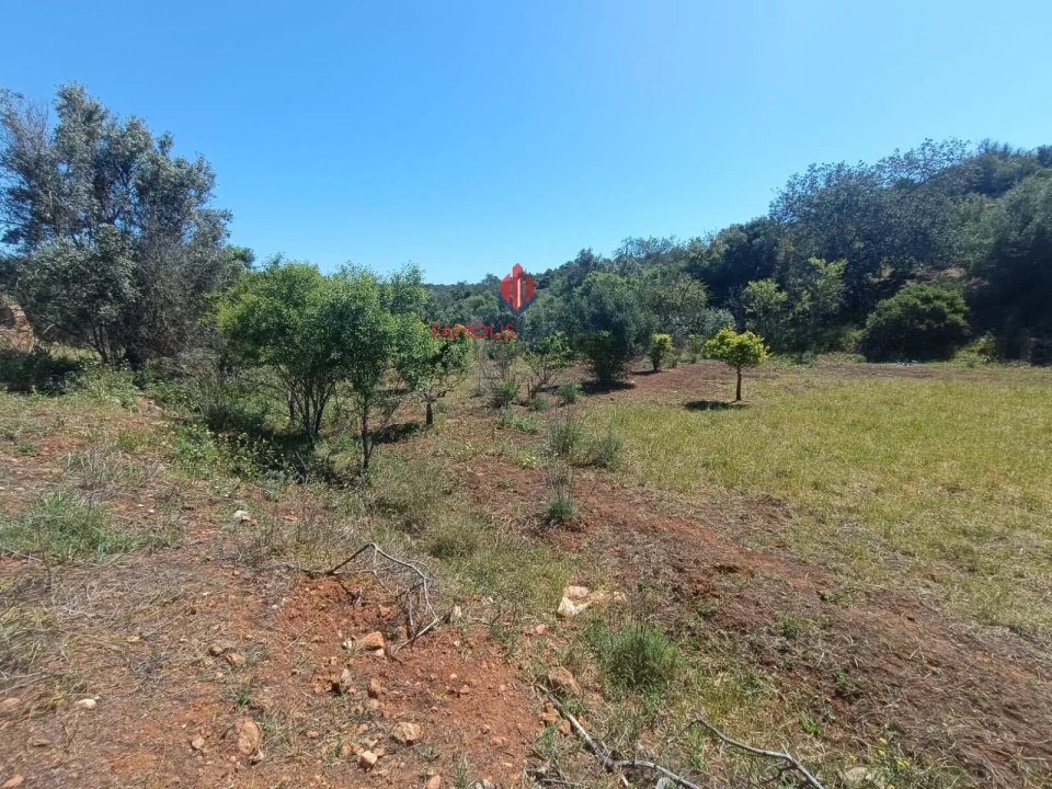 Terreno para Venda em Estômbar e Parchal Foto 13