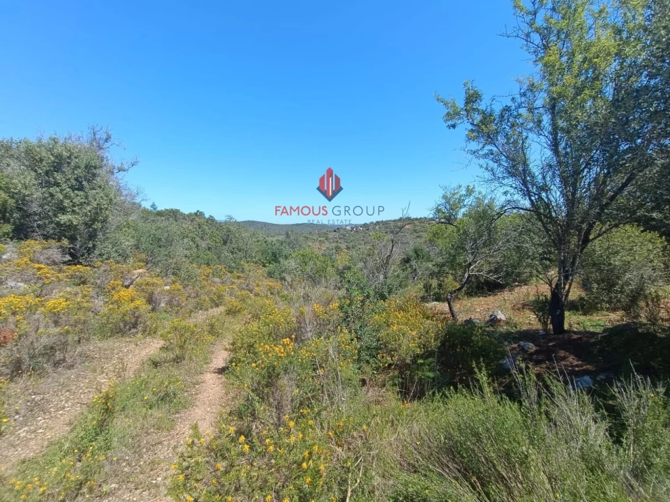 Terreno para Venda em Estômbar e Parchal Foto 9