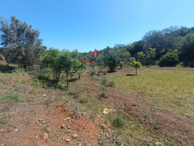 Terreno para Venda em Estômbar e Parchal Foto 13