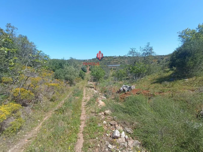 Terreno para Venda em Estômbar e Parchal Foto 6