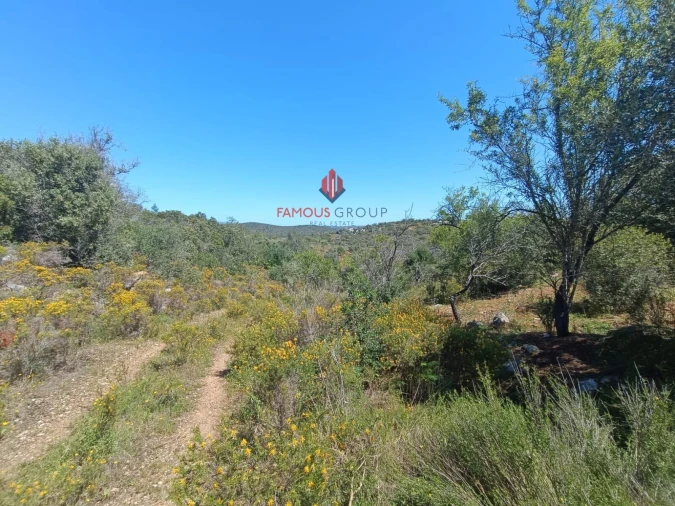 Terreno para Venda em Estômbar e Parchal Foto 9