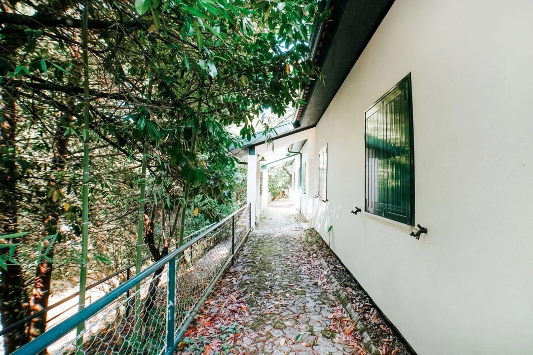 Moradia T3 para Venda em Belazaima do Chão, Castanheira do Vouga e Agadão Foto 1