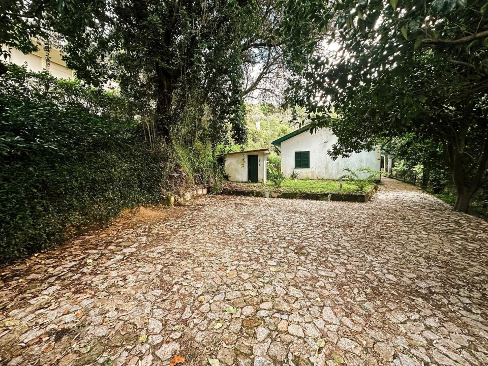 Moradia T3 para Venda em Belazaima do Chão, Castanheira do Vouga e Agadão Foto 4