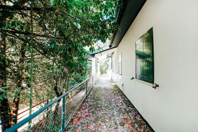 Moradia T3 para Venda em Belazaima do Chão, Castanheira do Vouga e Agadão Foto 1