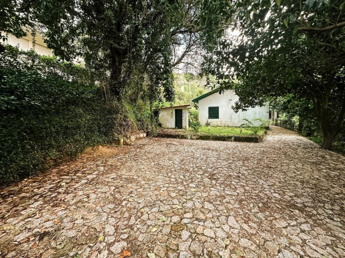 Moradia T3 para Venda em Belazaima do Chão, Castanheira do Vouga e Agadão Foto 4