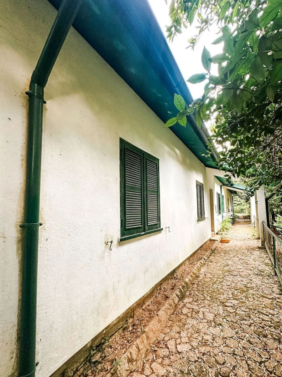 Moradia T3 para Venda em Belazaima do Chão, Castanheira do Vouga e Agadão Foto 6