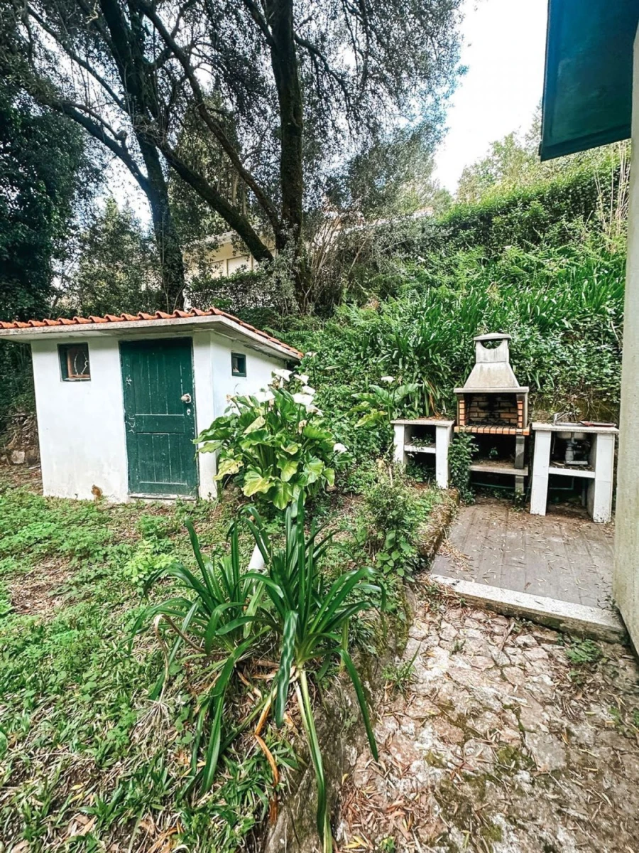 Moradia T3 para Venda em Belazaima do Chão, Castanheira do Vouga e Agadão Foto 7