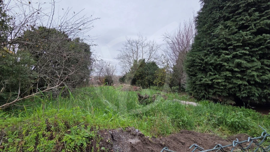 Terreno para Venda em Gondifelos, Cavalões e Outiz Foto 3