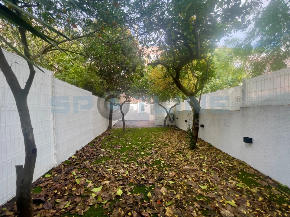 Apartamento T2 para Arrendamento em Campo de Ourique Foto 34