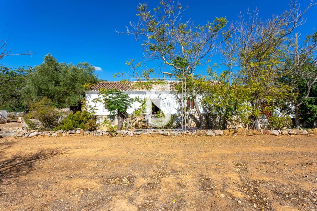 Quinta T10 para Venda em Cachopo Foto 15