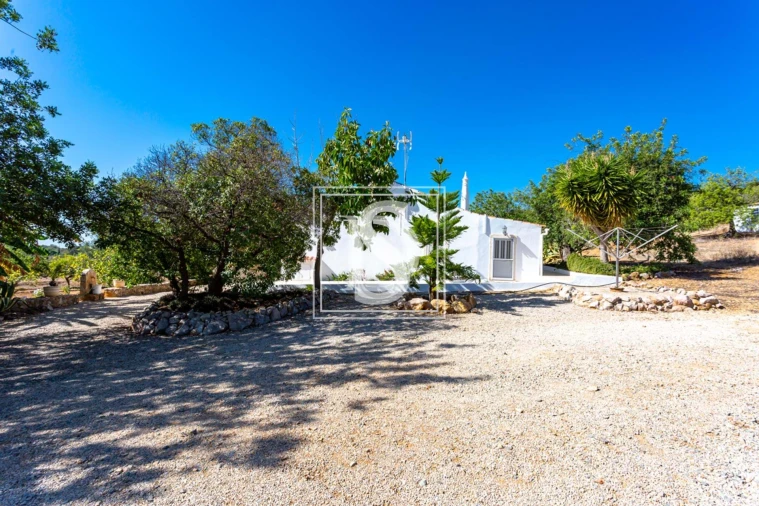 Quinta T10 para Venda em Cachopo Foto 14