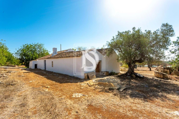 Quinta T10 para Venda em Cachopo Foto 16