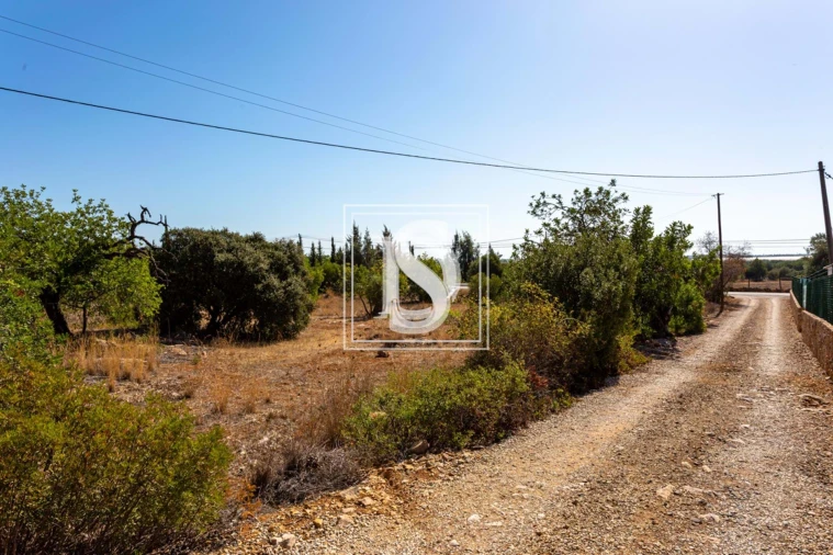 Quinta T10 para Venda em Cachopo Foto 27