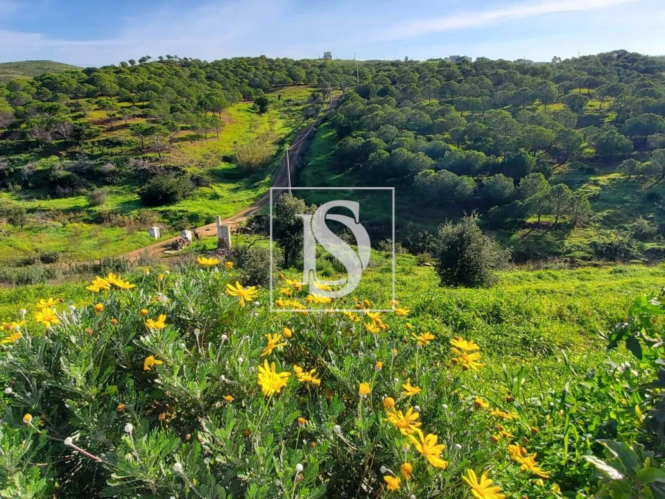 Moradia T3 para Venda em Conceição e Cabanas de Tavira Foto 12