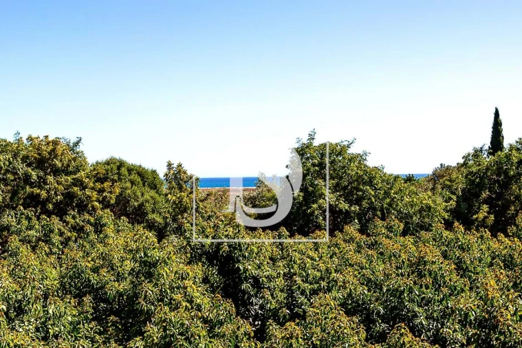 Moradia T3 para Venda em Conceição e Cabanas de Tavira Foto 13